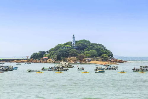 1. 早晨的启程：在寒风中寻找温暖