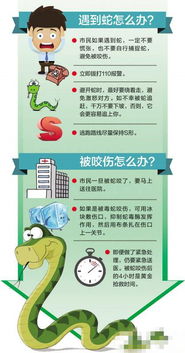 四、民俗禁忌