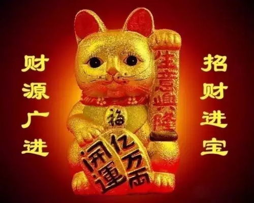 招财猫：办公室里的社交达人
