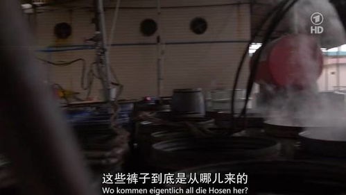 穿越山东的11细小时：列车档案与独特视角