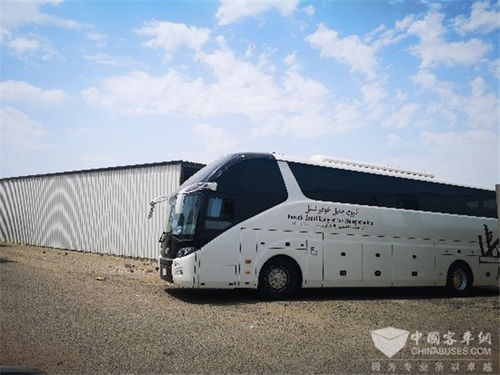 2. 大巴车之旅——一场屁股的受难记
