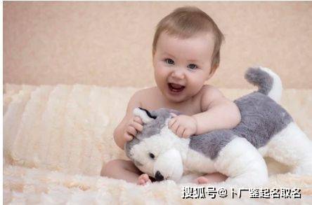 2026年出生的虎宝宝男孩，有哪些用字适合起名呢？