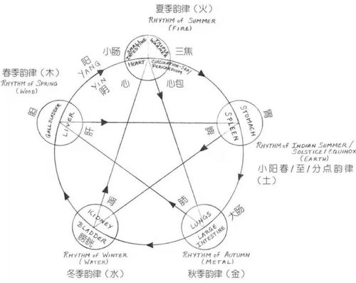 引子：碎裂的五行印记