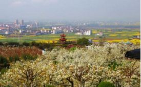 张良庙：紫柏山麓的冬日禅意