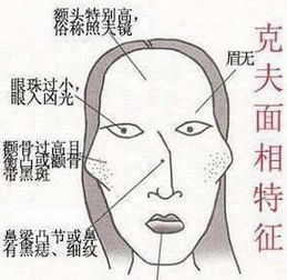 北京老太太看手相是不是在搞怪表演？