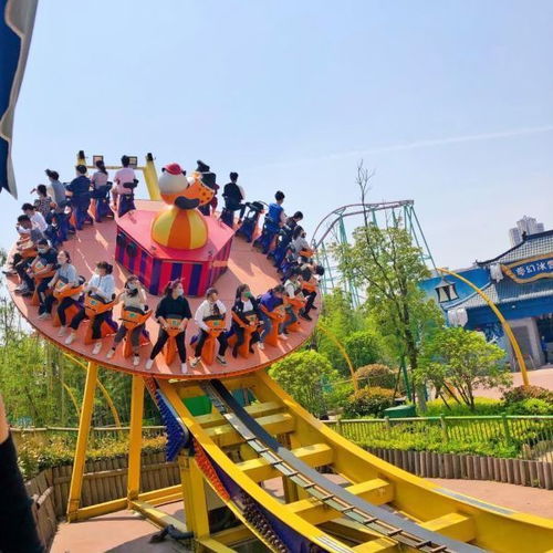 那个让00后集体破防的杀马特木马！