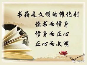 风华笔墨后庭尘埃