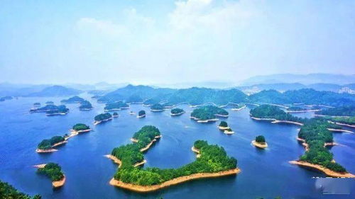 说了这么多到底去不去吃顿好的先！