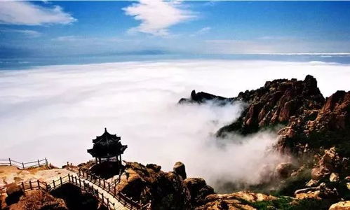 春节去山东旅游，哪个地方旅游性价比最高？这真是一个让人头秃的问题啊！