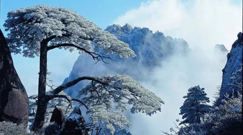 交通工具：花钱买罪受的N种方式