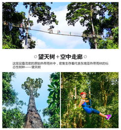 废弃林场的鬼故事