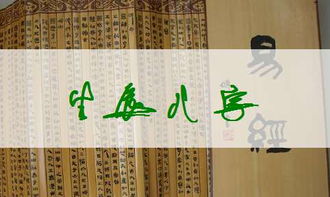 周易宝宝取名，姓氏输入后免费正版自动取名服务有哪些？