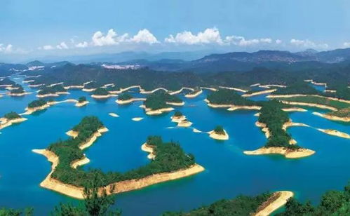 沈园夜游：灯光与狗血的完美结合