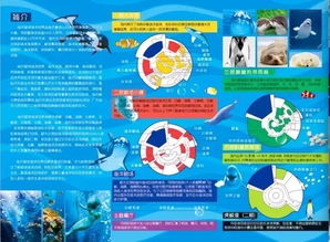 周末亲子特惠活动