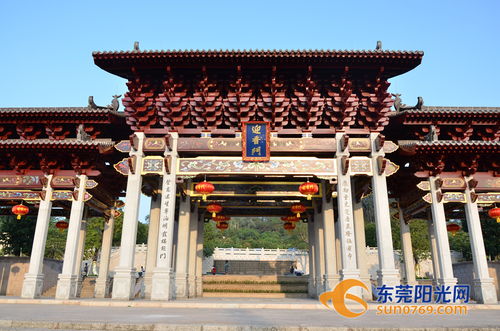 下午：动物园“惊险刺激”之旅
