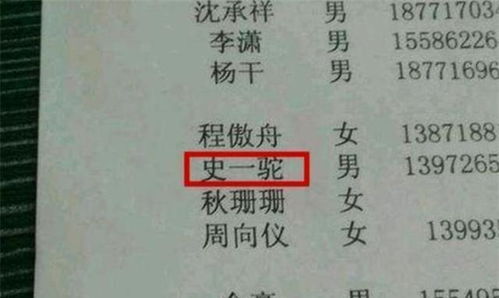 2025年生娃记之「姓名拉锯战」：汪妈老孙头给闺女取名差点吵离婚