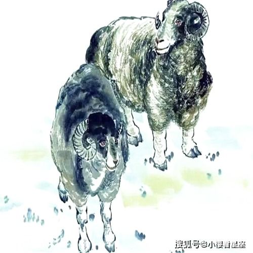 火羊与属猪的婚姻以及奶奶属羊孙子属猪的配对关系如何？