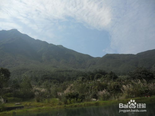 费用细节——谁说旅行没门道？