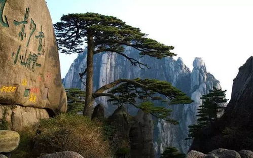 四、 自然风光：美到让人想哭却又忍不住笑