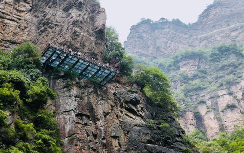 震惊！林州人西安旅游血泪史曝光！看完直接裂开！
