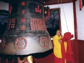 子时阴气最重，生肖鼠的捣鬼？