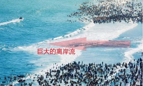 东疆理想海岸沙滩景区：夏日狂欢夜开启！
