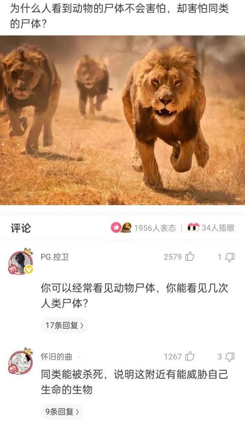 哪个生肖在耀武扬威时显得特别耍无赖？
