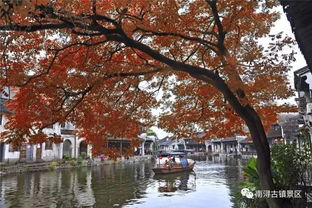 江南：诗意盎然的西湖美景