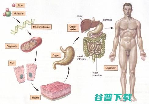 深度解剖这个奇葩现象