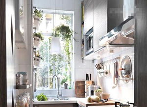 厨房窗外鱼池,厨房窗外鱼池