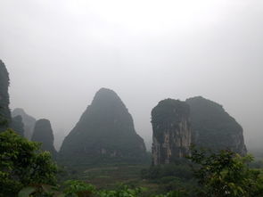 交通：攻略没说的“包车坑”与“公交真香”