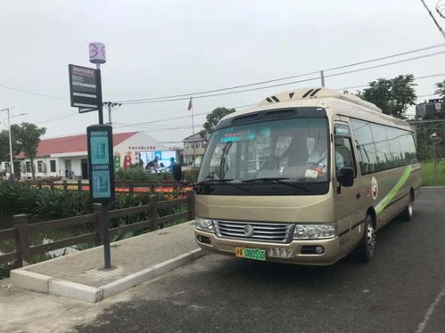 我的“血泪史”：在许昌北站迷路的那一天