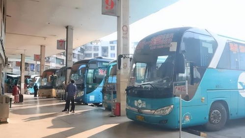泉州客运中心站：旅行行业双轨持续发展，较大胆试探未知！