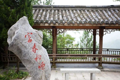 限时优惠，不容错过