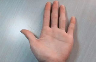 男人右手断掌，女性右手假断掌十个簸箕，婚姻如何？