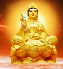 金命（硬核金属党）