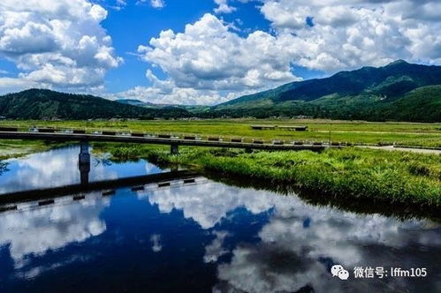 北海湿地：湿地里的小清新（别笑！）