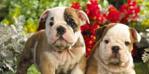 三、 风水怪谈——从地下室到天花板