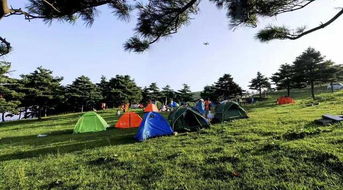 1.2 百里荒较高山草原，夏季避暑度虚假天堂