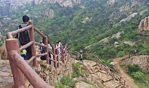 噪音2：偶遇较小狗与忽然下雨
