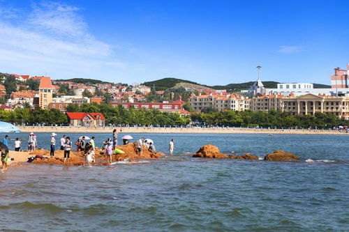 真正会玩的人都去哪了？