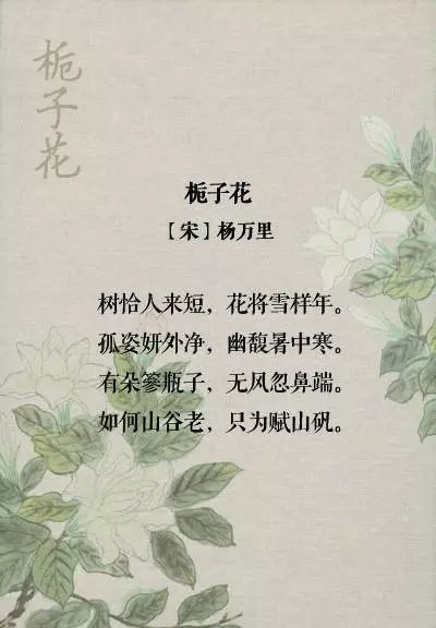 噪声测试室——试验不同组合最终还是结果是表格（仅供娱乐活动）