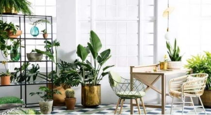 一、 先别急着买，先看看你到底是哪只“动物”（别笑）