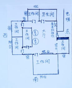 玩具小狗的风水寓意,玩具狗放家里什么位置