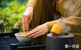 日本茶道的起源