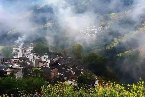 歙县紫金山：一场荒诞不经的魔幻现实主义冒险