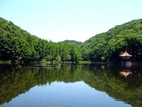 41 天池景区周边酒店推荐