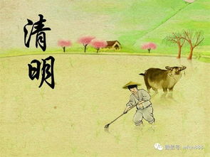 清明风俗活动盘点，传统习俗一网打尽