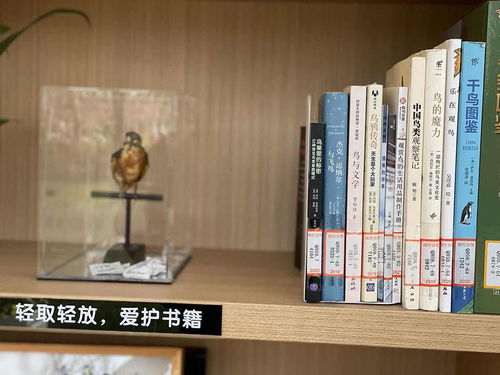 噪音与混乱
