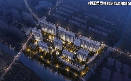 2026年属兔人的桃花运具体解析是怎样的？